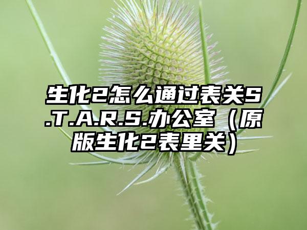 生化2怎么通过表关S.T.A.R.S.办公室（原版生化2表里关）