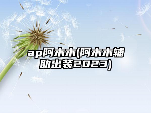 ap阿木木(阿木木辅助出装2023)