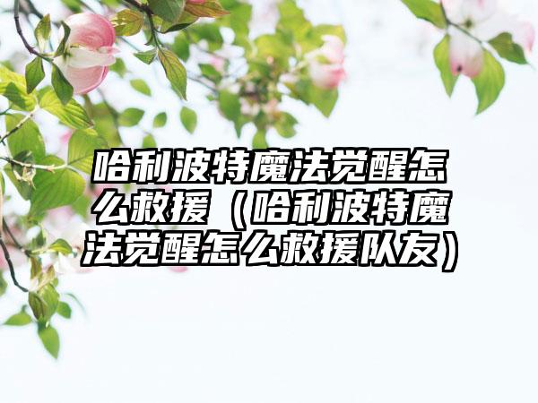 哈利波特魔法觉醒怎么救援（哈利波特魔法觉醒怎么救援队友）