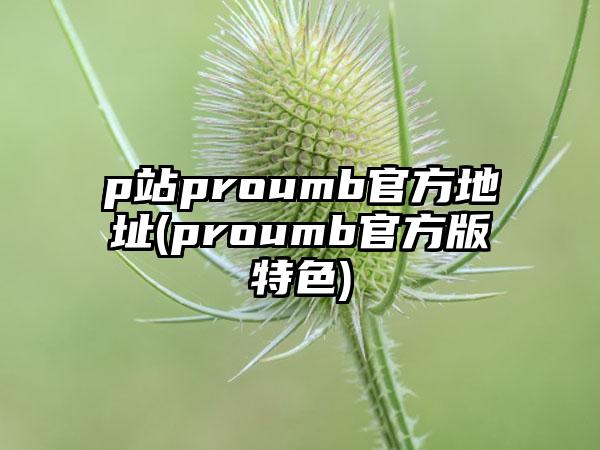 p站proumb官方地址(proumb官方版特色)