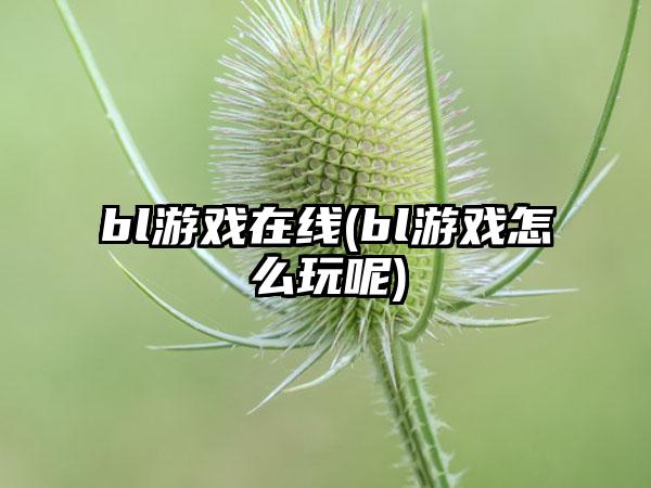 bl游戏在线(bl游戏怎么玩呢)