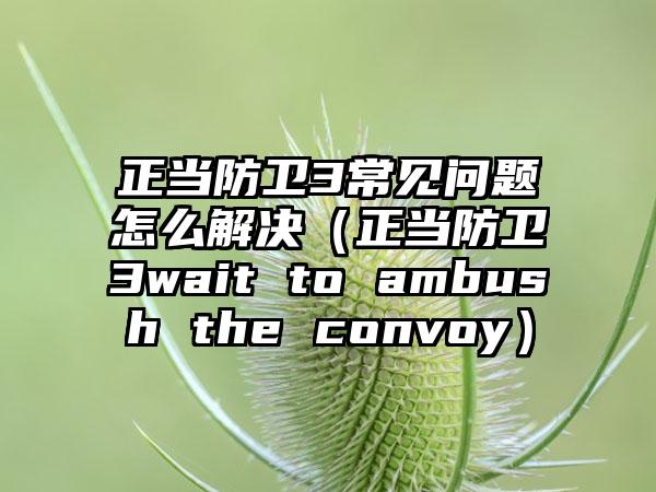 正当防卫3常见问题怎么解决（正当防卫3wait to ambush the convoy）
