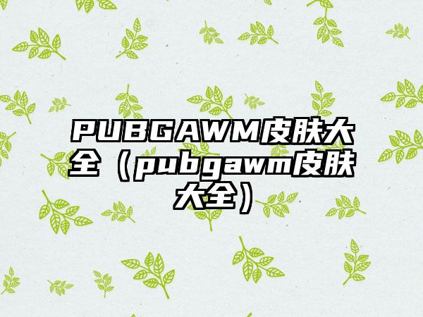 PUBGAWM皮肤大全（pubgawm皮肤大全）