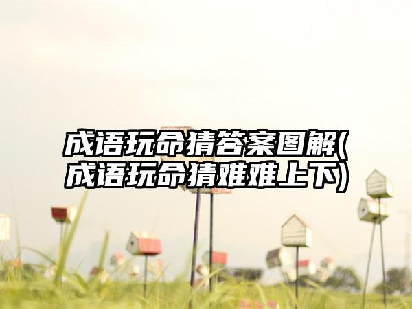 成语玩命猜答案图解(成语玩命猜难难上下)