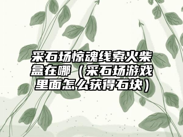 采石场惊魂线索火柴盒在哪（采石场游戏里面怎么获得石块）