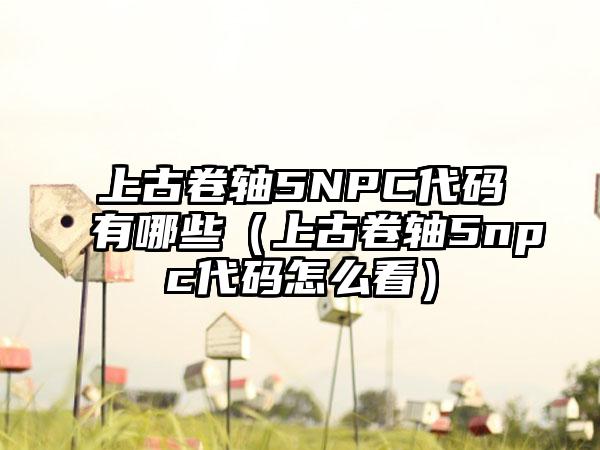 上古卷轴5NPC代码有哪些（上古卷轴5npc代码怎么看）