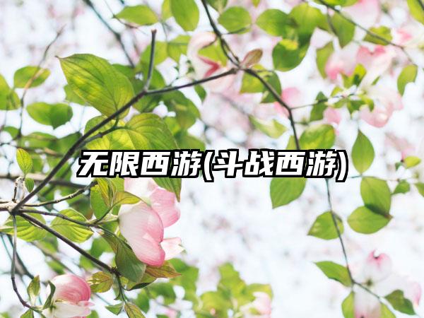 无限西游(斗战西游)