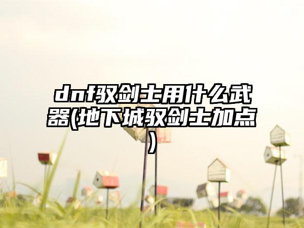 dnf驭剑士用什么武器(地下城驭剑士加点)