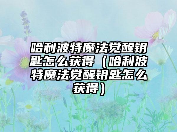 哈利波特魔法觉醒钥匙怎么获得（哈利波特魔法觉醒钥匙怎么获得）