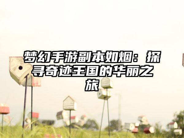 梦幻手游副本如烟：探寻奇迹王国的华丽之旅