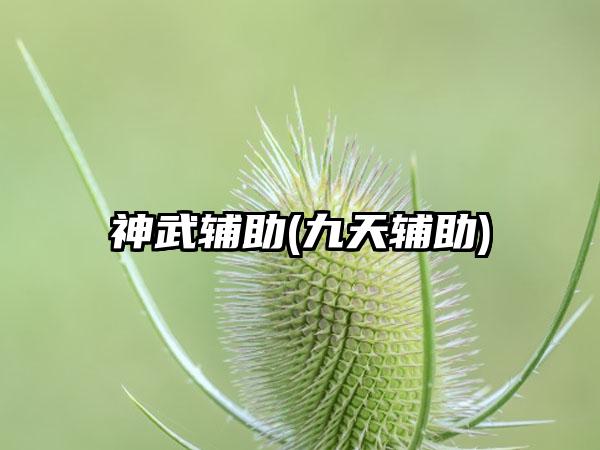 神武辅助(九天辅助)