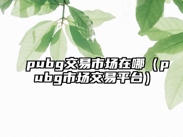 pubg交易市场在哪（pubg市场交易平台）