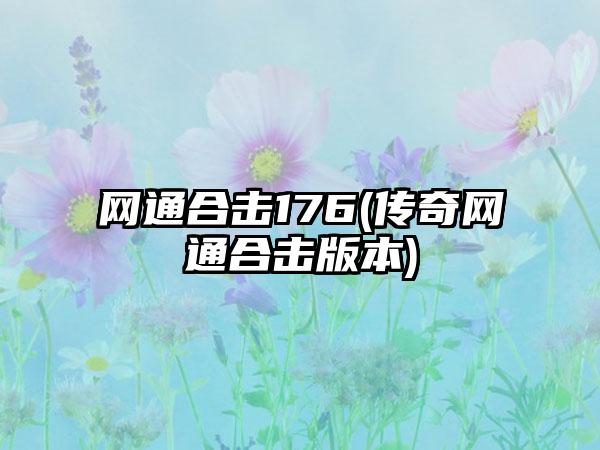 网通合击176(传奇网通合击版本)