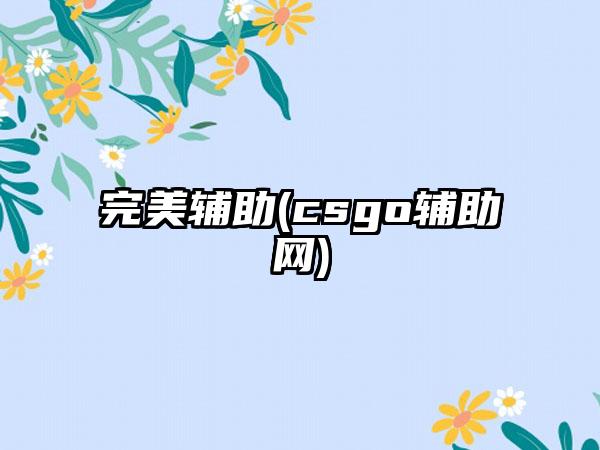 完美辅助(csgo辅助网)