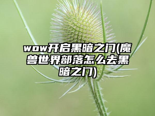 wow开启黑暗之门(魔兽世界部落怎么去黑暗之门)