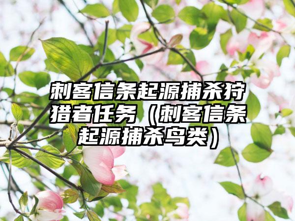 刺客信条起源捕杀狩猎者任务（刺客信条起源捕杀鸟类）