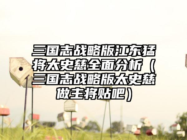 三国志战略版江东猛将太史慈全面分析（三国志战略版太史慈做主将贴吧）