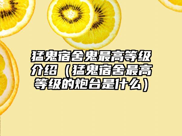 猛鬼宿舍鬼最高等级介绍（猛鬼宿舍最高等级的炮台是什么）