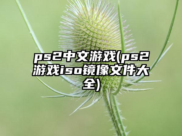 ps2中文游戏(ps2游戏iso镜像文件大全)