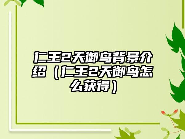 仁王2天御鸟背景介绍（仁王2天御鸟怎么获得）