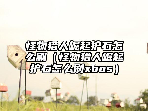 怪物猎人崛起护石怎么刷（怪物猎人崛起护石怎么刷xbos）