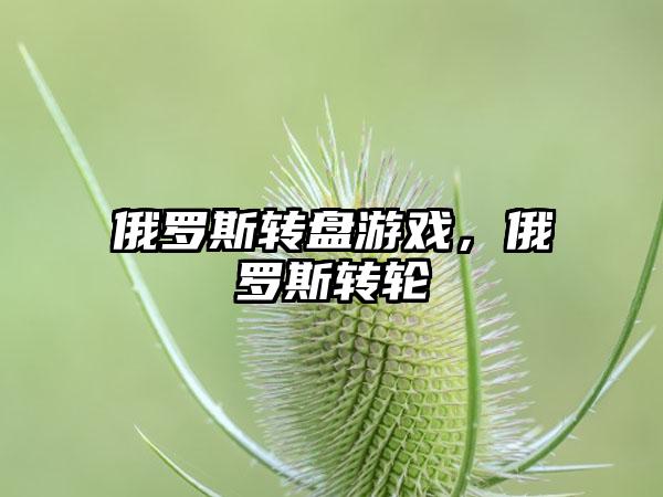 俄罗斯转盘游戏，俄罗斯转轮