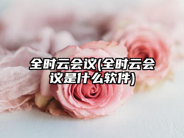 全时云会议(全时云会议是什么软件)