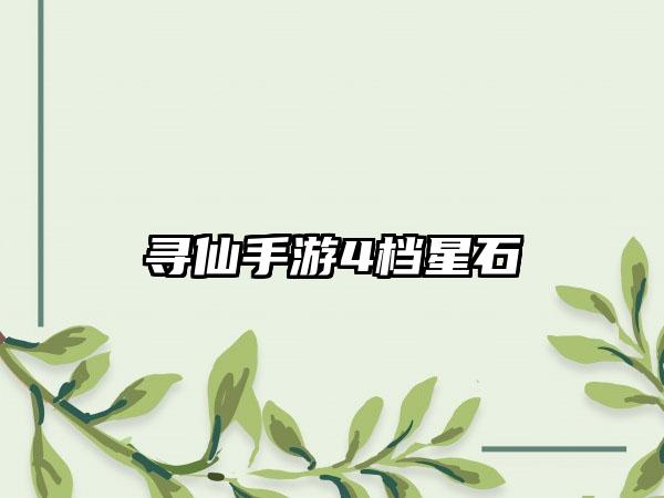 寻仙手游4档星石