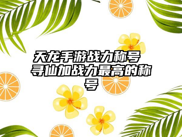 天龙手游战力称号 寻仙加战力最高的称号