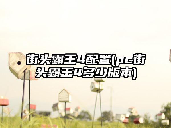街头霸王4配置(pc街头霸王4多少版本)