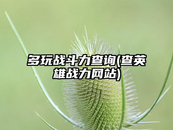 多玩战斗力查询(查英雄战力网站)