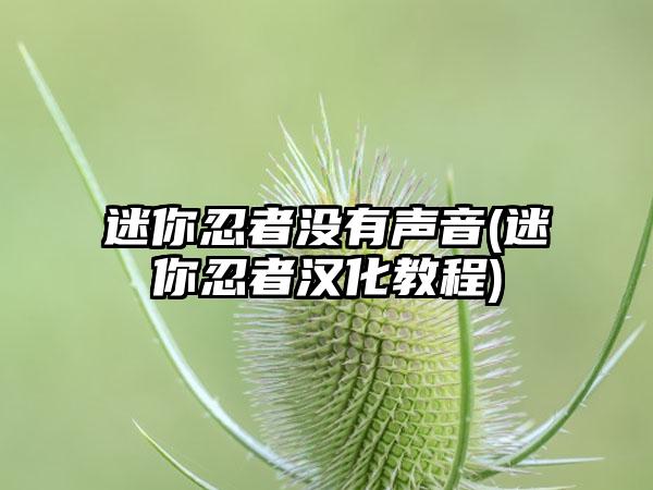 迷你忍者没有声音(迷你忍者汉化教程)