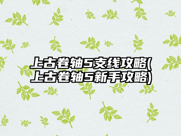 上古卷轴5支线攻略(上古卷轴5新手攻略)