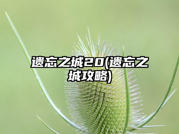 遗忘之城20(遗忘之城攻略)