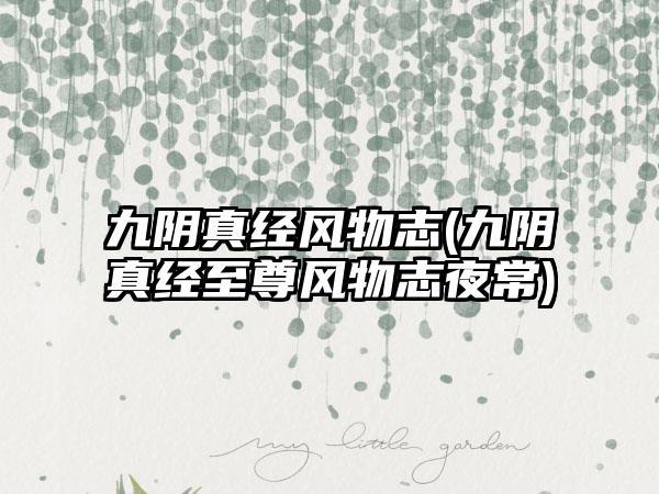 九阴真经风物志(九阴真经至尊风物志夜常)