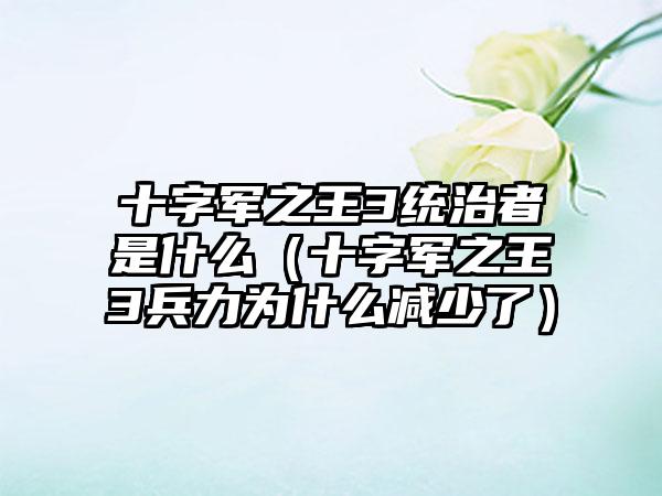 十字军之王3统治者是什么（十字军之王3兵力为什么减少了）