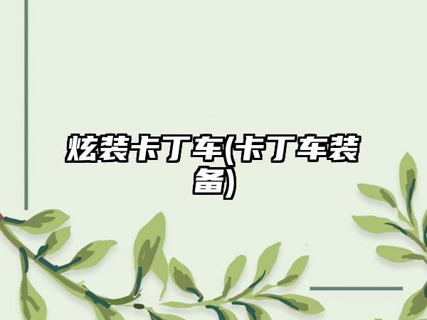 炫装卡丁车(卡丁车装备)