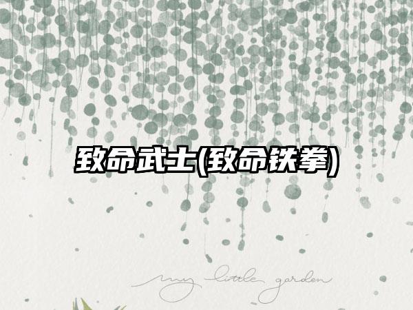 致命武士(致命铁拳)