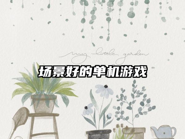 场景好的单机游戏