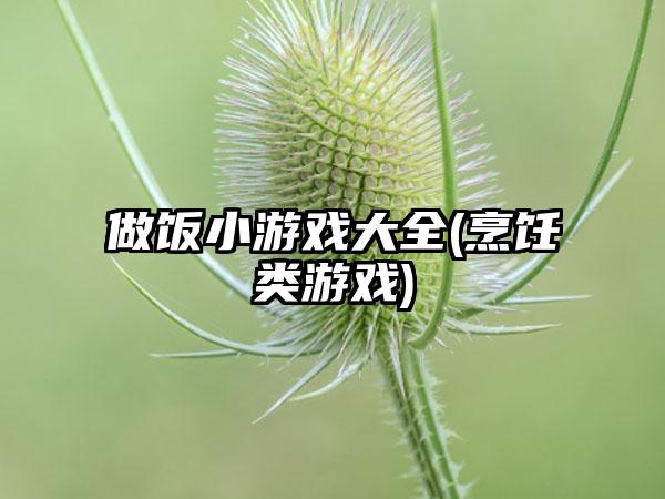 做饭小游戏大全(烹饪类游戏)