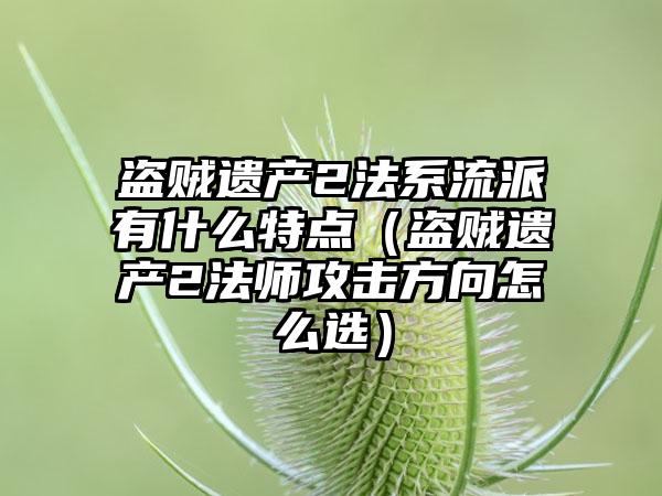 盗贼遗产2法系流派有什么特点（盗贼遗产2法师攻击方向怎么选）