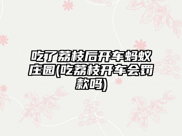 吃了荔枝后开车蚂蚁庄园(吃荔枝开车会罚款吗)