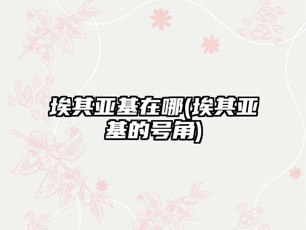 埃其亚基在哪(埃其亚基的号角)