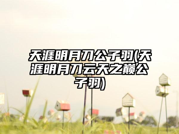 天涯明月刀公子羽(天涯明月刀云天之巅公子羽)