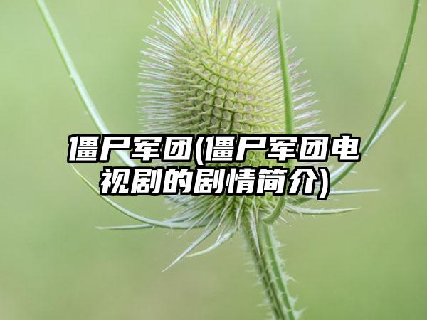 僵尸军团(僵尸军团电视剧的剧情简介)