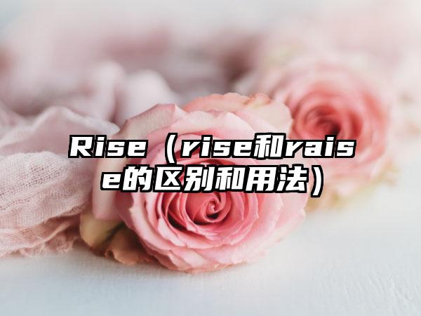 Rise（rise和raise的区别和用法）