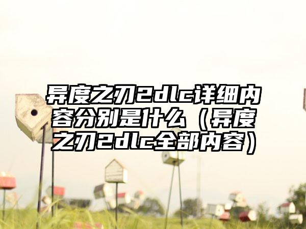 异度之刃2dlc详细内容分别是什么（异度之刃2dlc全部内容）