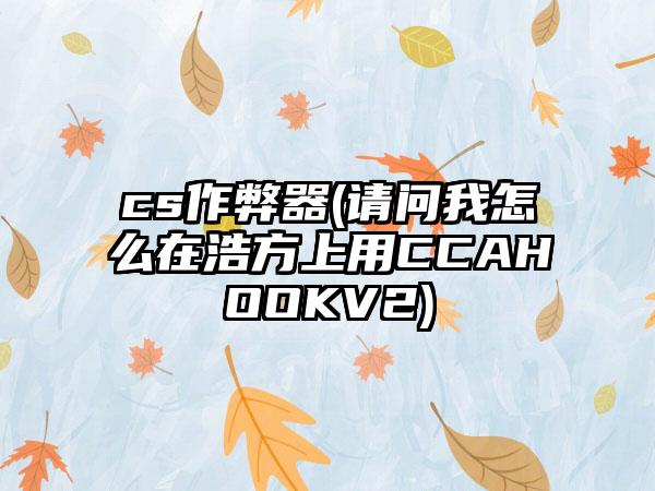 cs作弊器(请问我怎么在浩方上用CCAHOOKV2)