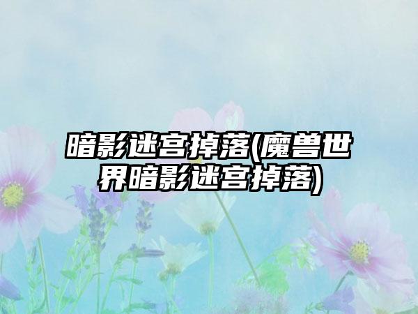 暗影迷宫掉落(魔兽世界暗影迷宫掉落)