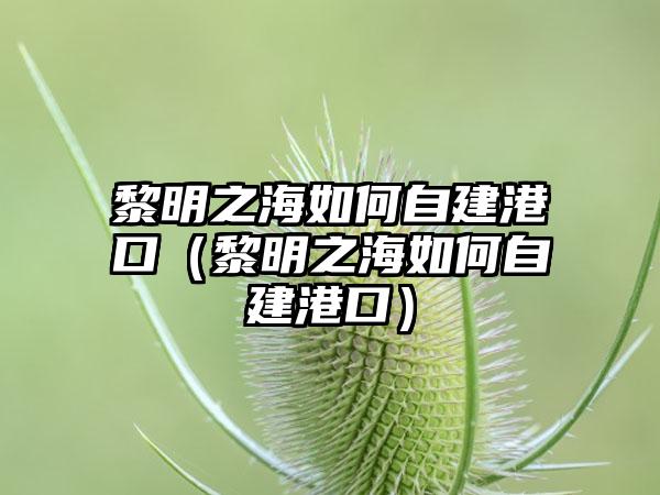 黎明之海如何自建港口（黎明之海如何自建港口）